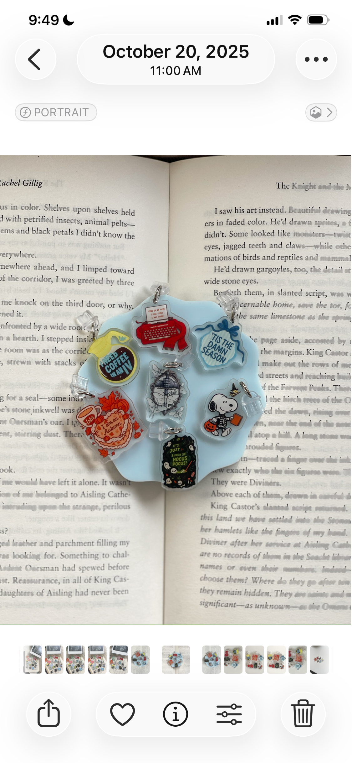 Halloween Witchy Vibes E-Reader Charm | Dust Plug