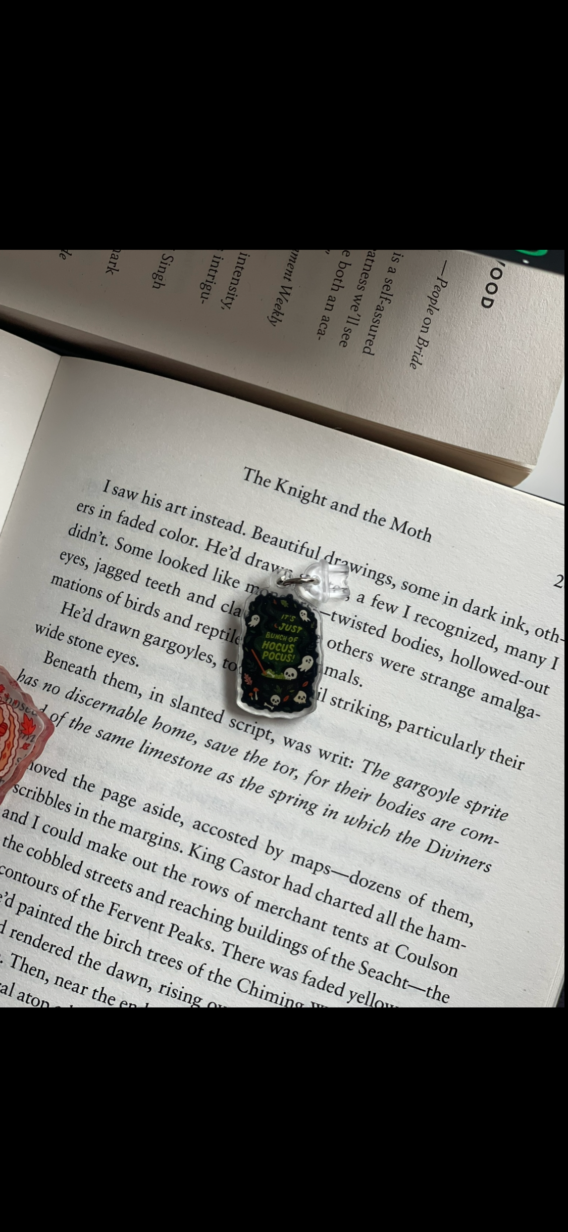 Halloween Witchy Vibes E-Reader Charm | Dust Plug
