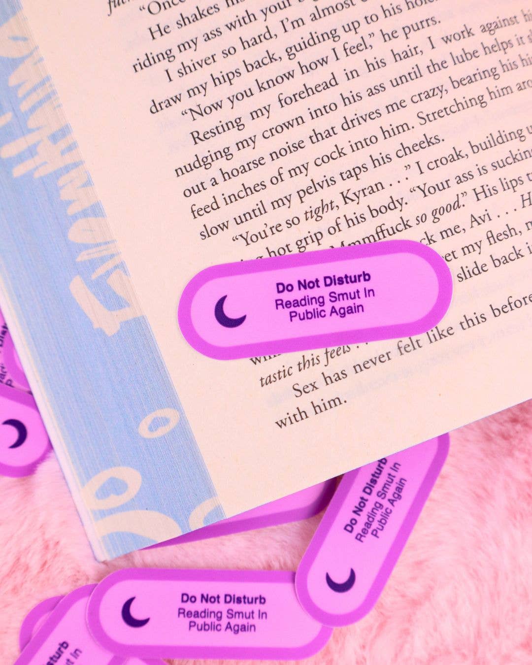 Do Not Disturb Reading Smut In Public Again Vinyl Sticker